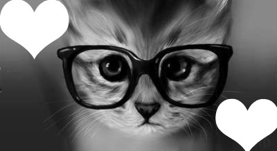 chaton a lunette <3 Fotomontaggio