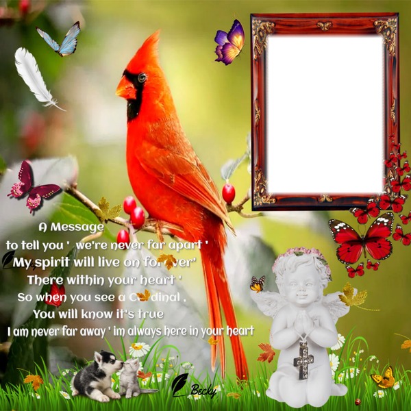 a message Photo frame effect