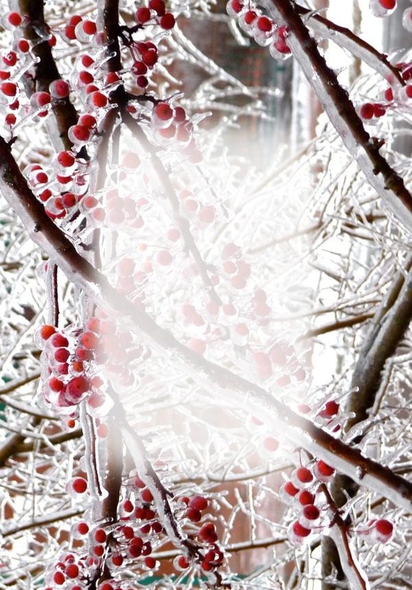 winter Photo frame effect