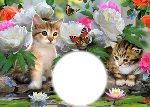 chats pappillons et fleurs フォトモンタージュ
