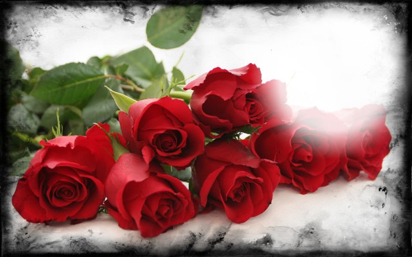 Roses rouges Fotomontažas