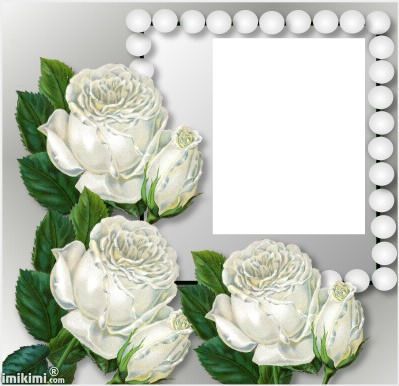 3 roses blanches laly Fotomontage