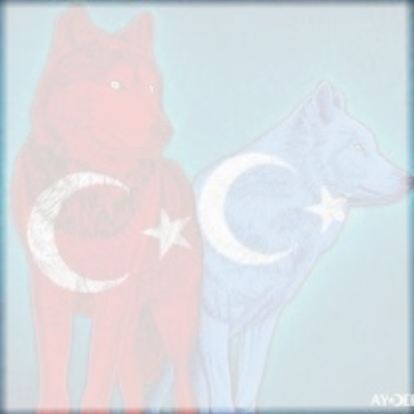Doğu Türkistan & Türkiye Photo frame effect