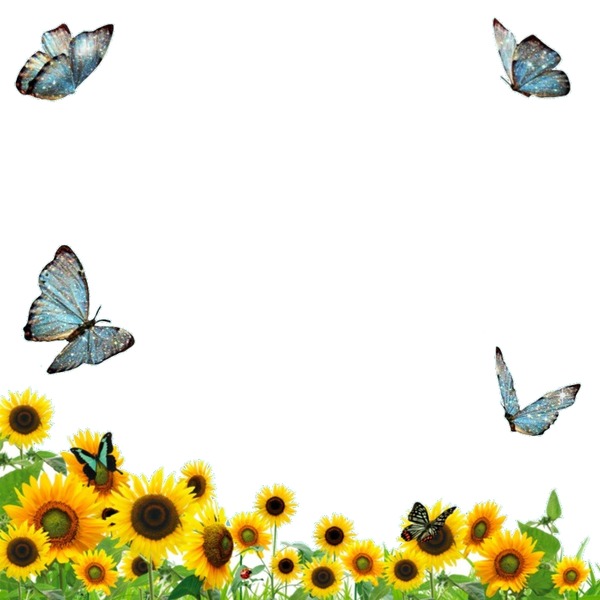 mariposas y girasoles. Photo frame effect