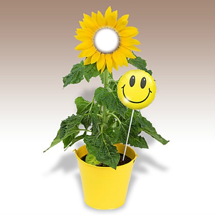Sunflower and Smiley Fotomontaggio