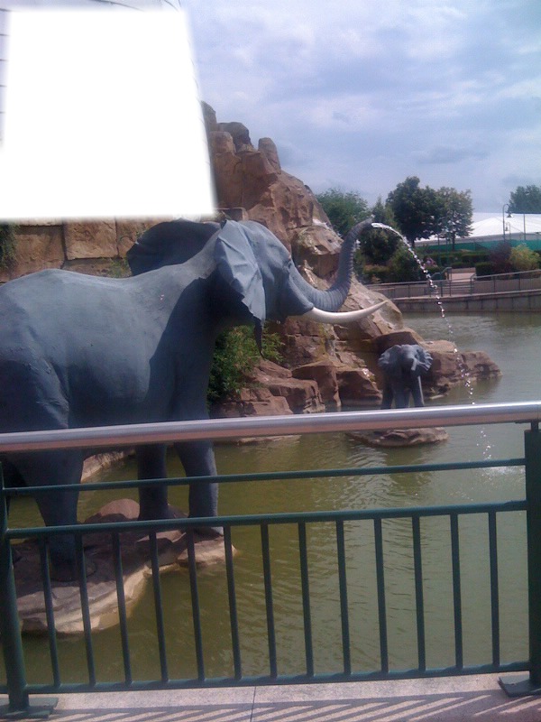 elephant Fotomontaža