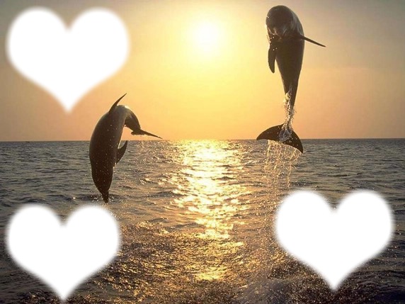 coucher de soleil avec des dauphin フォトモンタージュ