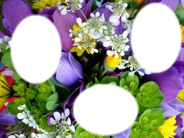 Fleurs* Fotomontažas