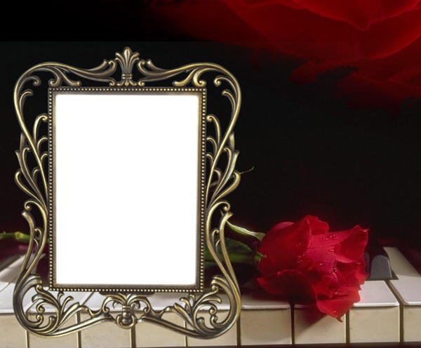 Piano-rose-cadre Fotoğraf editörü