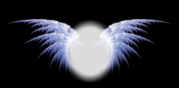 Wings Fotomontage