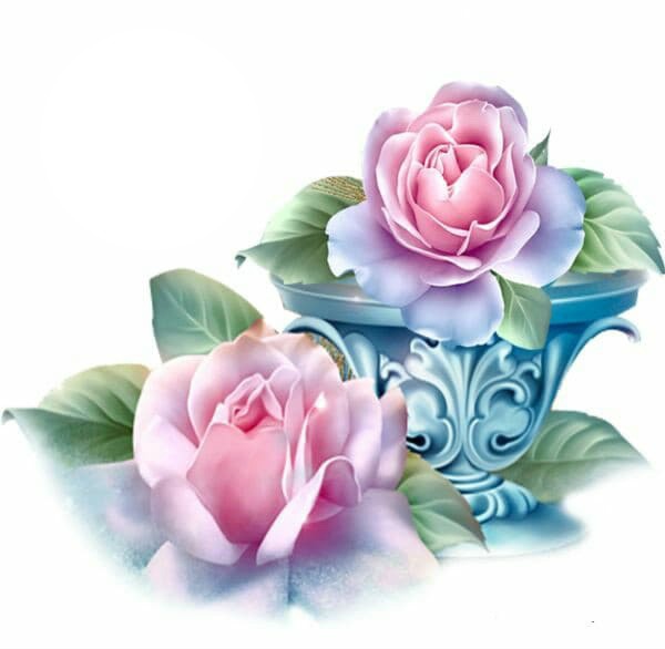 2 PINK ROSES Photo frame effect