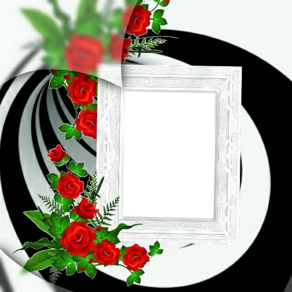 cadre roses rouge* Montage photo