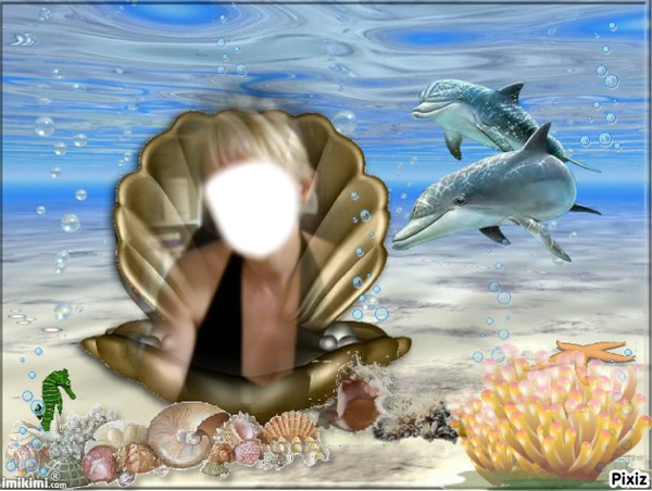 coquille Fotomontáž