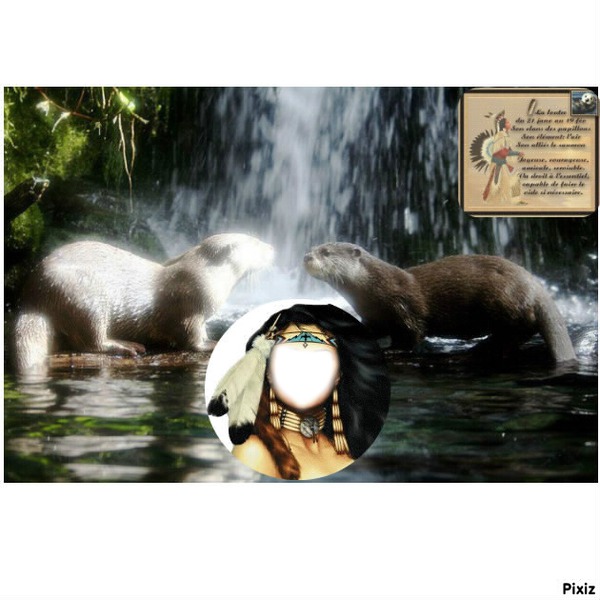 totem loutre Photo frame effect