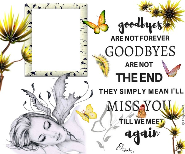good byes Photo frame effect