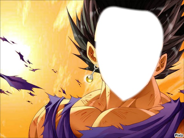 dragon ball z Montage photo