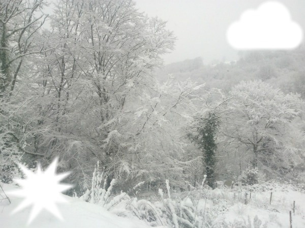 paysage d'hiver Fotomontaža