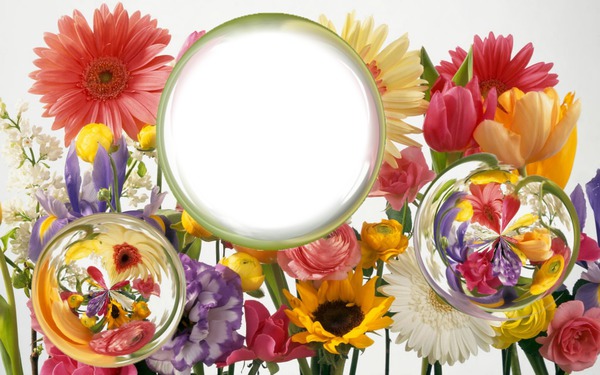 Flowers + Spheres Photo frame effect