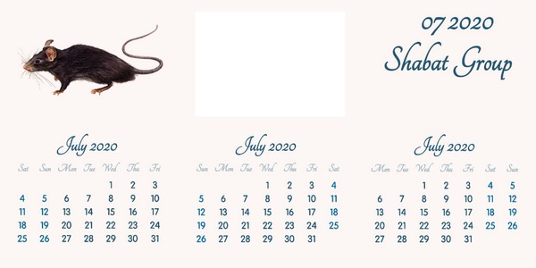 July 2020 // English // 2020 to 2055 Calendar // 2020.02.15 Fotomontage