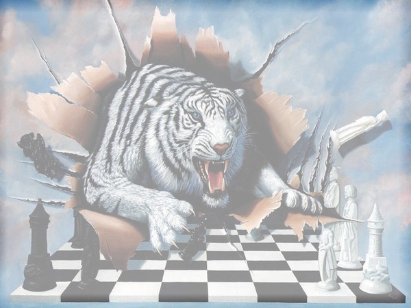 tigre con scacchi dama Montaje fotografico