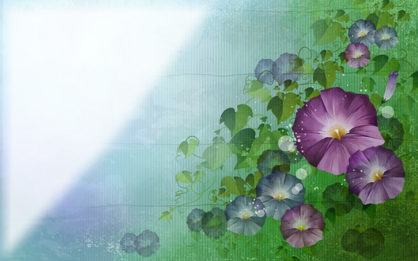Boque-Flowers Photo frame effect