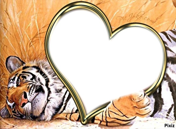 tigre en coeur Montaje fotografico