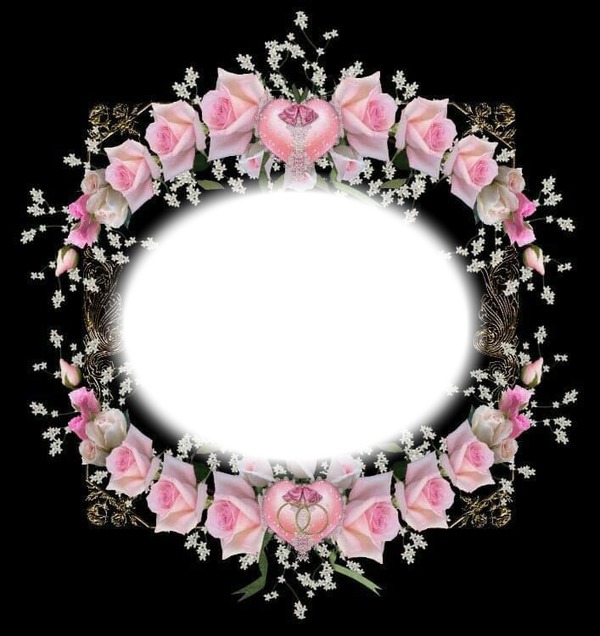 pink roses Photo frame effect