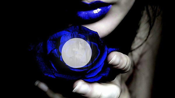 rose bleu <3 Montage photo