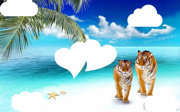 2 tigres mer Fotomontage