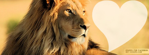 lion bion Photomontage