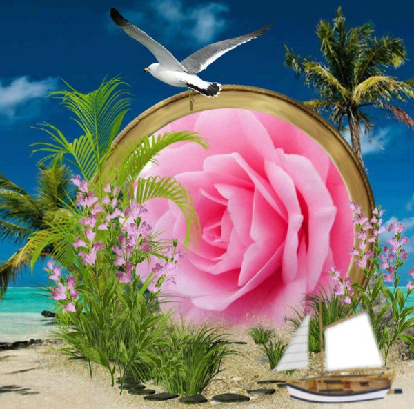 rose & sea Fotomontage
