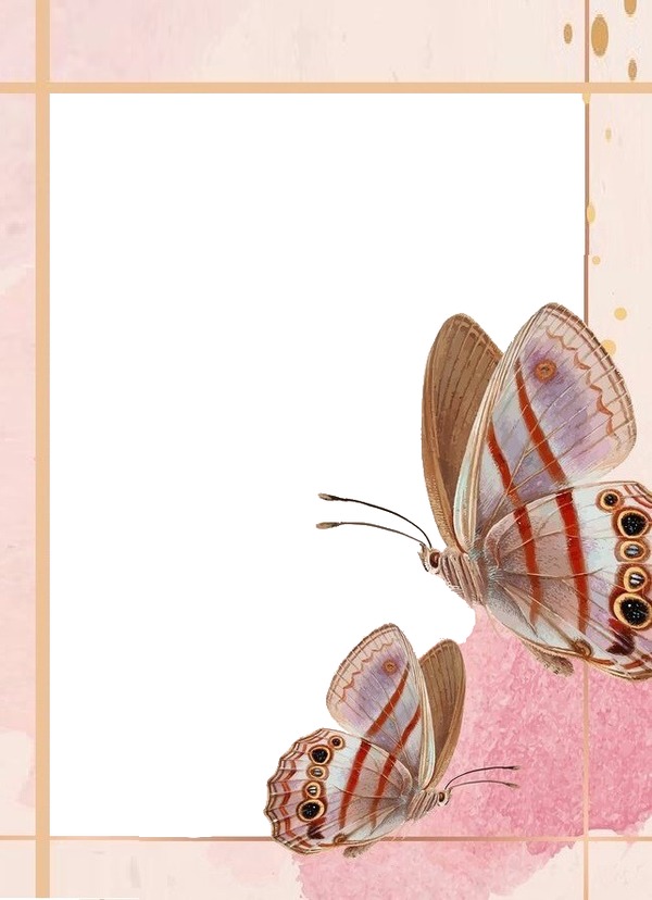 marco y mariposas rosadas. Fotomontagem