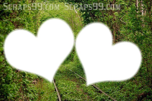 love forest Photo frame effect