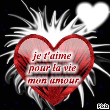 je t'aime pour la vie mon amour Montage photo