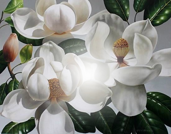 magnolias Фотомонтажа