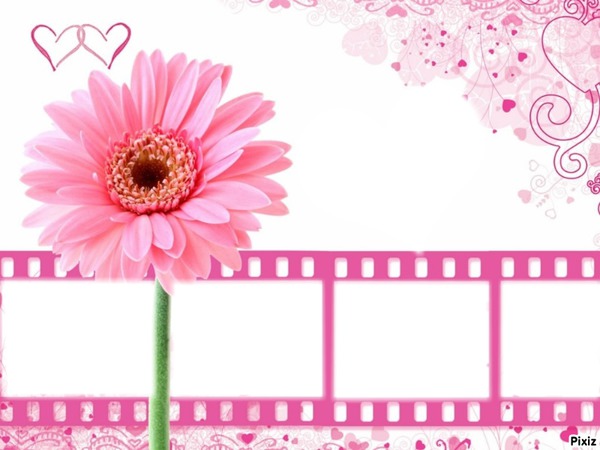pink flower multi frame Fotomontaggio