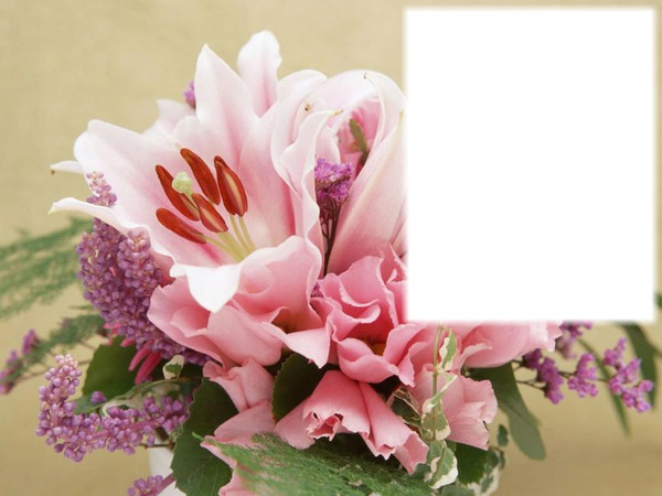 flowers Photo frame effect