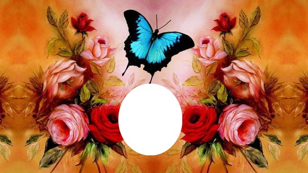 butterfly an roses Photo frame effect