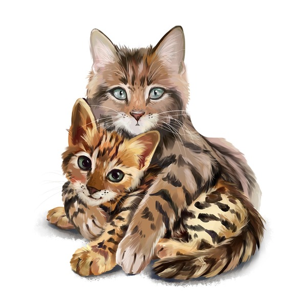 mom and kitten フォトモンタージュ
