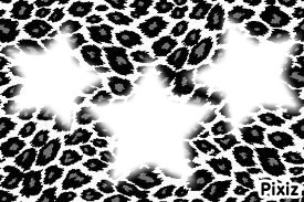 leopard gris blanc フォトモンタージュ