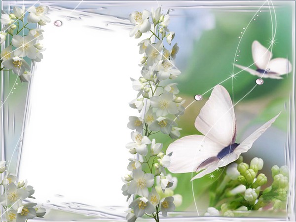 Butterfly Frame Photomontage