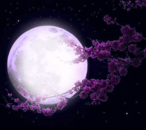 lune Fotomontaža