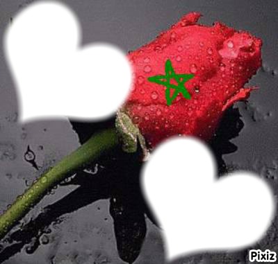 rose marocaine Photo frame effect