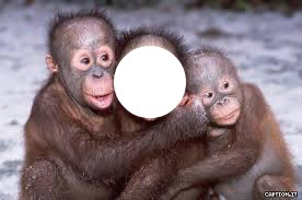 les trois singes Фотомонтаж
