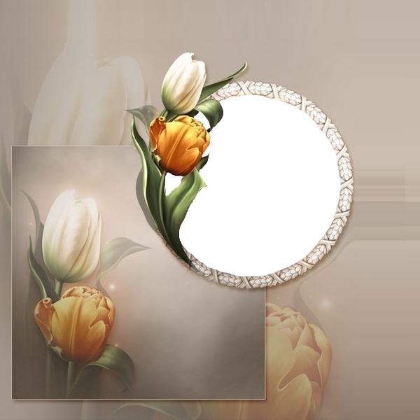 marco circular y tulipanes. Fotomontaggio