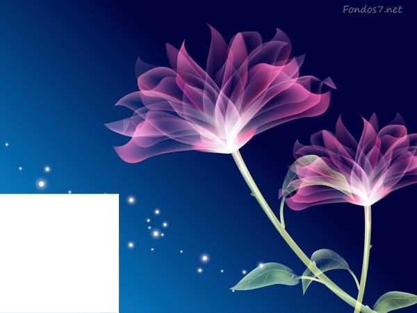 flores Fotomontagem