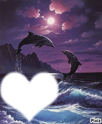 L'amour des dauphins <3 Fotomontaż