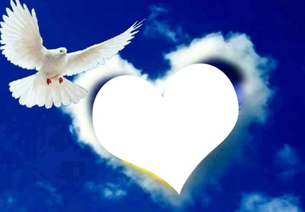 colombe avec un coeur nuage 1 photo Фотомонтаж