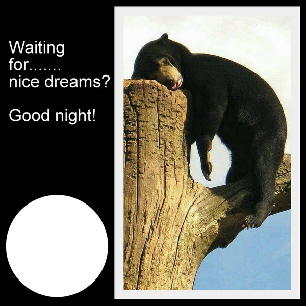 Waiting for nice dreams? Montage photo