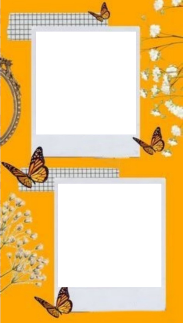 collage, 2 fotos, flores y mariposas. Photo frame effect